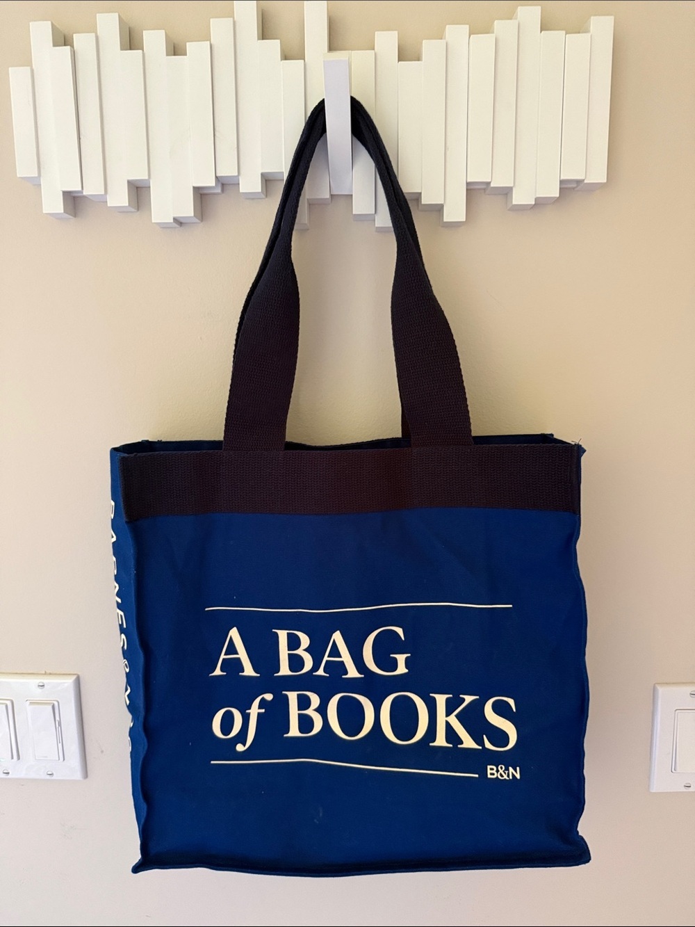 Barnes & Noble A Bag of Books Blue Canvas Tote Bag Book Lover Shopper